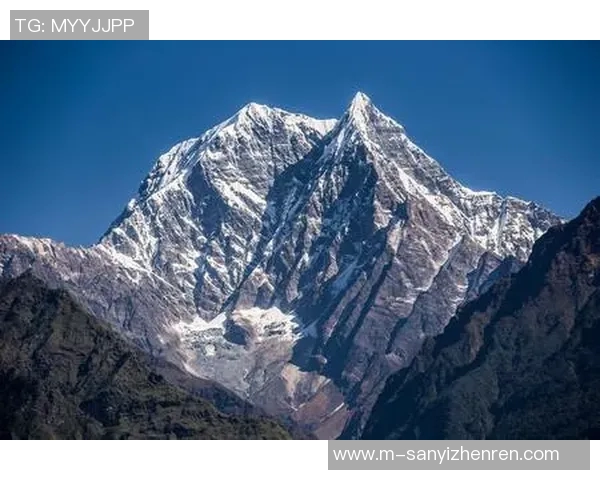 赖斯的崛起与挑战：从学术界到国际政治舞台的全景探讨